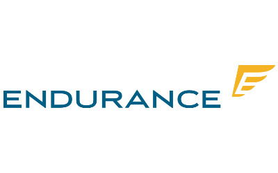 Endurance logo