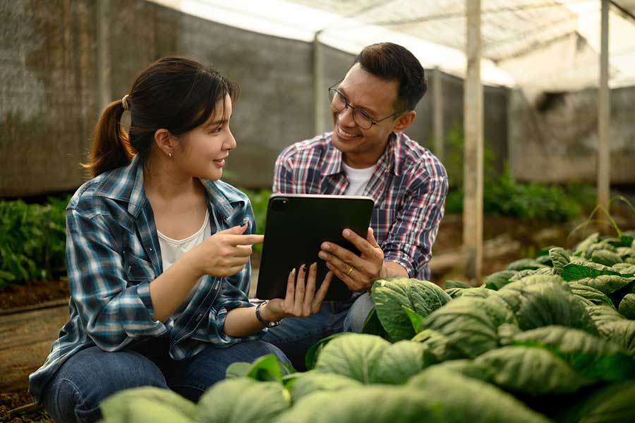 employees using blockchain technology on tablet